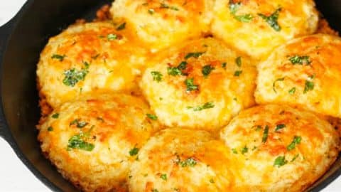 5-Ingredient Garlic Cheddar Biscuit Recipe | DIY Joy Projects and Crafts Ideas