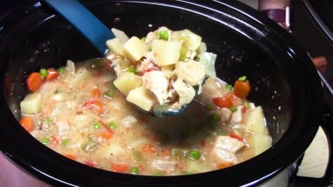 Crockpot Creamy Chicken Stew Recipe | DIY Joy Projects and Crafts Ideas