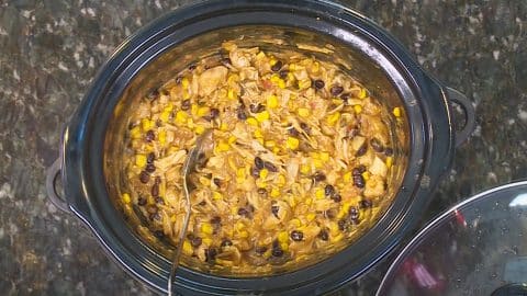 Crockpot Fiesta Chicken Recipe | DIY Joy Projects and Crafts Ideas