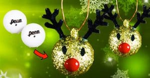 DIY Christmas Reindeer Ornament