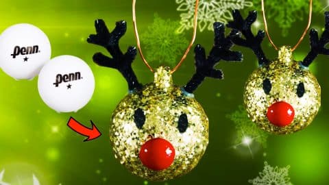 DIY Christmas Reindeer Ornament | DIY Joy Projects and Crafts Ideas