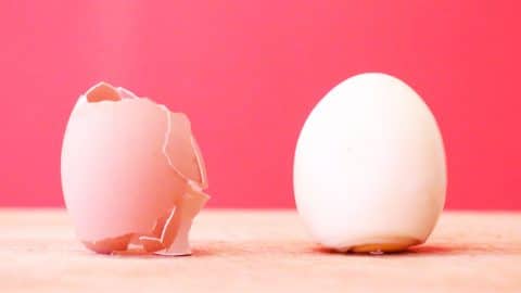How To Easily Peel An Egg In Under 10 Seconds | DIY Joy Projects and Crafts Ideas