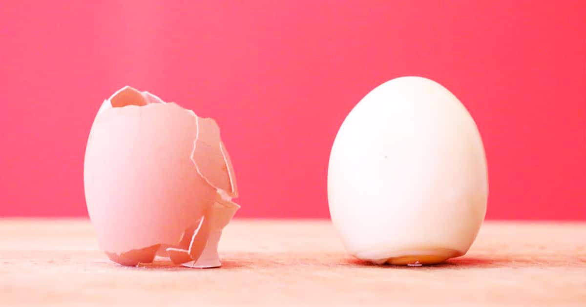 How To Easily Peel An Egg In Under 10 Seconds | DIY Joy Projects and Crafts Ideas