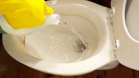 How To Remove Hard Stains From Toilet Bowl | DIY Joy Projects and Crafts Ideas