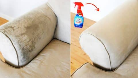 How To Remove Stains Off The Couch | DIY Joy Projects and Crafts Ideas