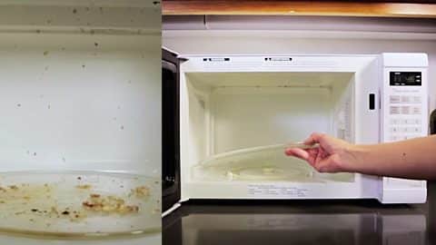 How To Clean A Microwave Naturally | DIY Joy Projects and Crafts Ideas