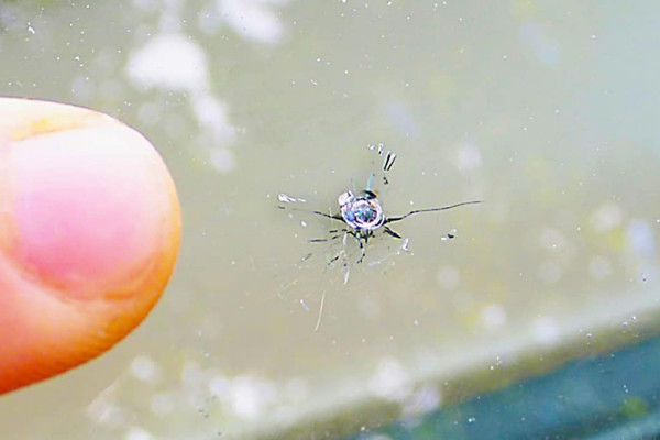 How To Fix A Cracked Windshield - Easy Spider Crack Fix - How To Repair a Windshield