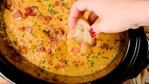 Crockpot Bacon Cheeseburger Dip Recipe | DIY Joy Projects and Crafts Ideas