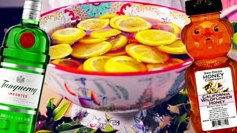 Victorian Christmas Gin Punch Recipe | DIY Joy Projects and Crafts Ideas