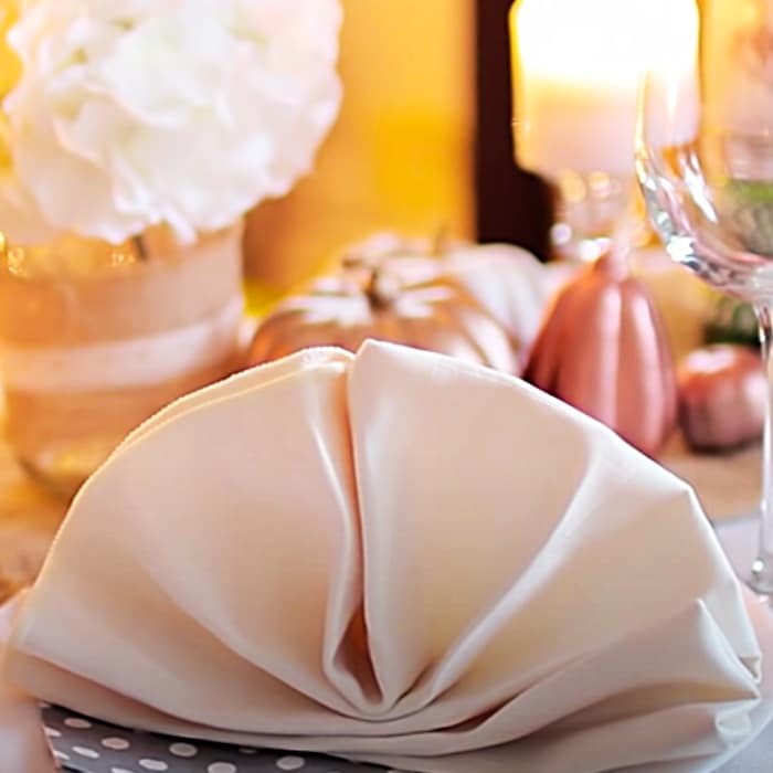 Fan Napkin Fold - How To Fold A Napkin Into A Fan - DIY Holiday Table Ideas