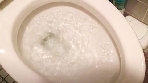 How To Fix A Slow Flushing Toilet | DIY Joy Projects and Crafts Ideas