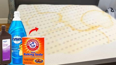 How To Clean Urine Out Of Memory Foam Mattress | DIY Joy Projects and Crafts Ideas
