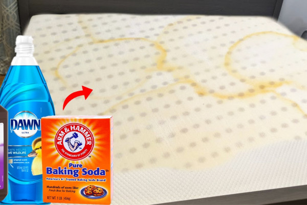 How To Clean Urine Out Of Memory Foam Mattress - DIY Foam Mattress Cleaning - Use Household products to remove urine stains
