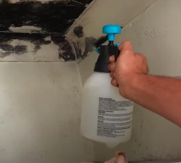 Use House Products To Remove and Kill Mold - Bleach Vs Vinegar