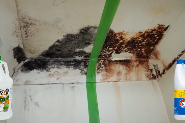 How To Remove And Kill Mold - House cleaning tips and hacks - DIY Cleaning Tricks