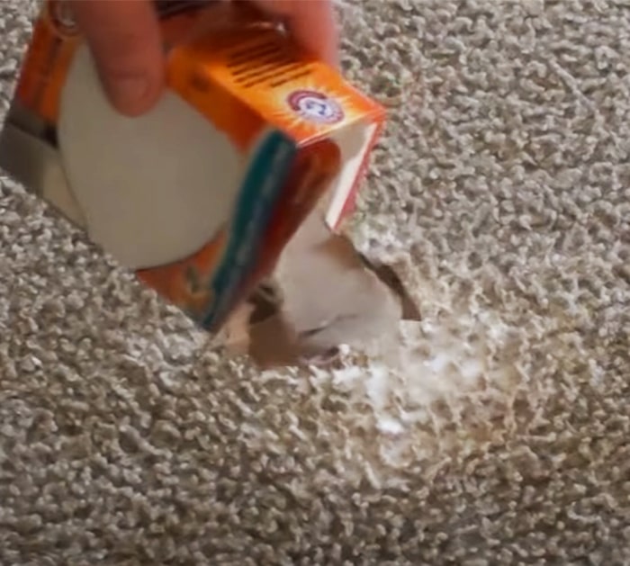 How To Remove Carpet Stains - DIY Carpet Stains - dIY Carpet Stain Removal