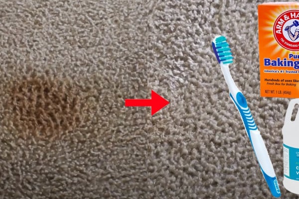 Remove Any Spot Stains on Carpet - Natural Way To Remove Carpet Stains