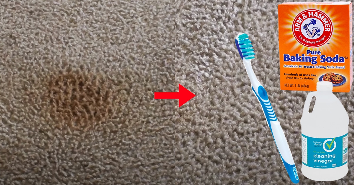 How To Remove Carpet Stains | DIY Joy Projects and Crafts Ideas