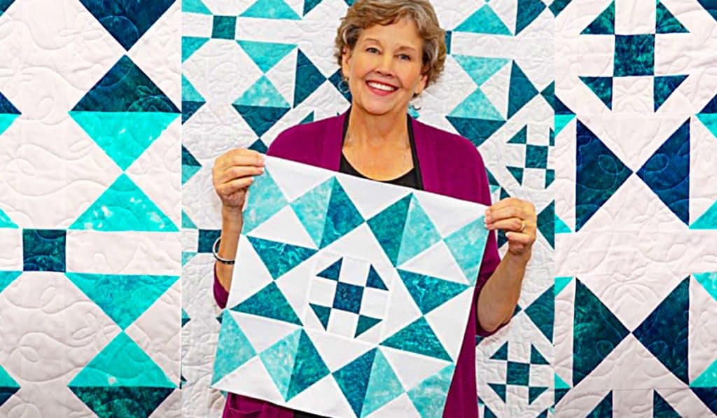 Sunshine Shoofly Quilt With Jenny Doan - How To make A Star Quilt - Easy Quilt Pattern