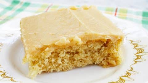 Peanut Butter Sheet Texas Cake Recipe | DIY Joy Projects and Crafts Ideas