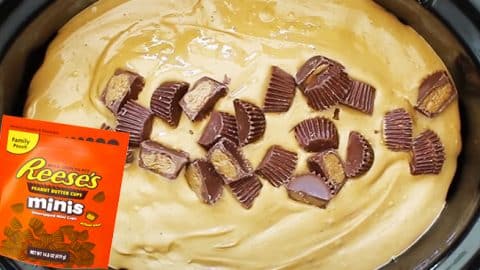 Slow Cooker Peanut Butter Chocolate Cake Recipe | DIY Joy Projects and Crafts Ideas