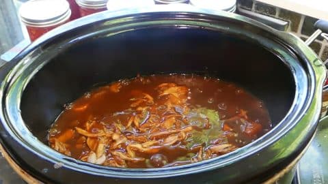 Slow Cooker Squirrel Stew Recipe | DIY Joy Projects and Crafts Ideas