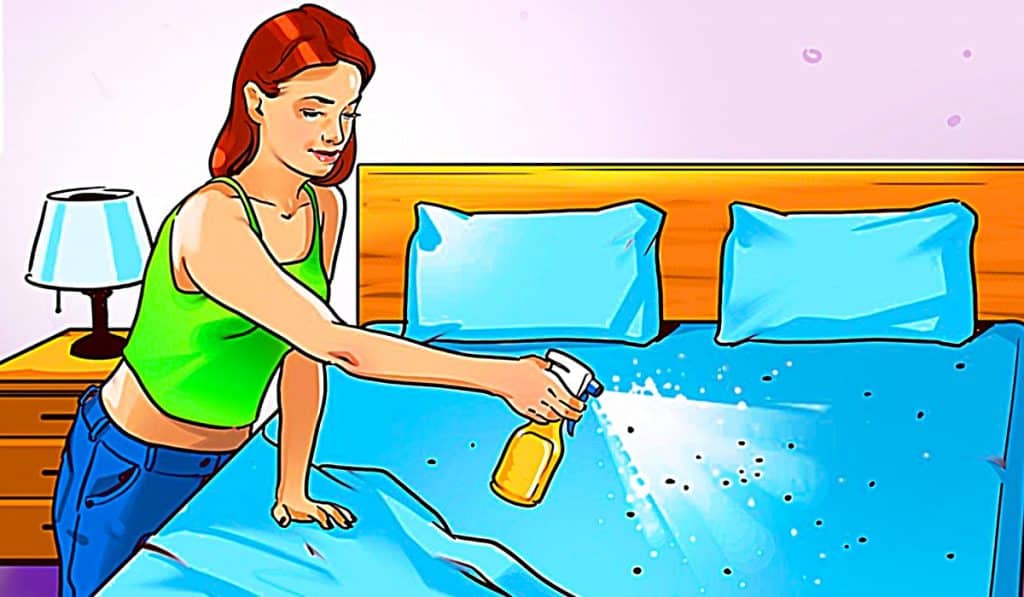 How To Get Rid Of Fleas - Easy Pest Control Ideas - Homemade Flea Spray Recipe