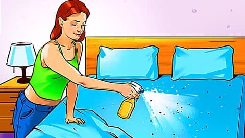 How To Get Rid Of Fleas Naturally | DIY Joy Projects and Crafts Ideas