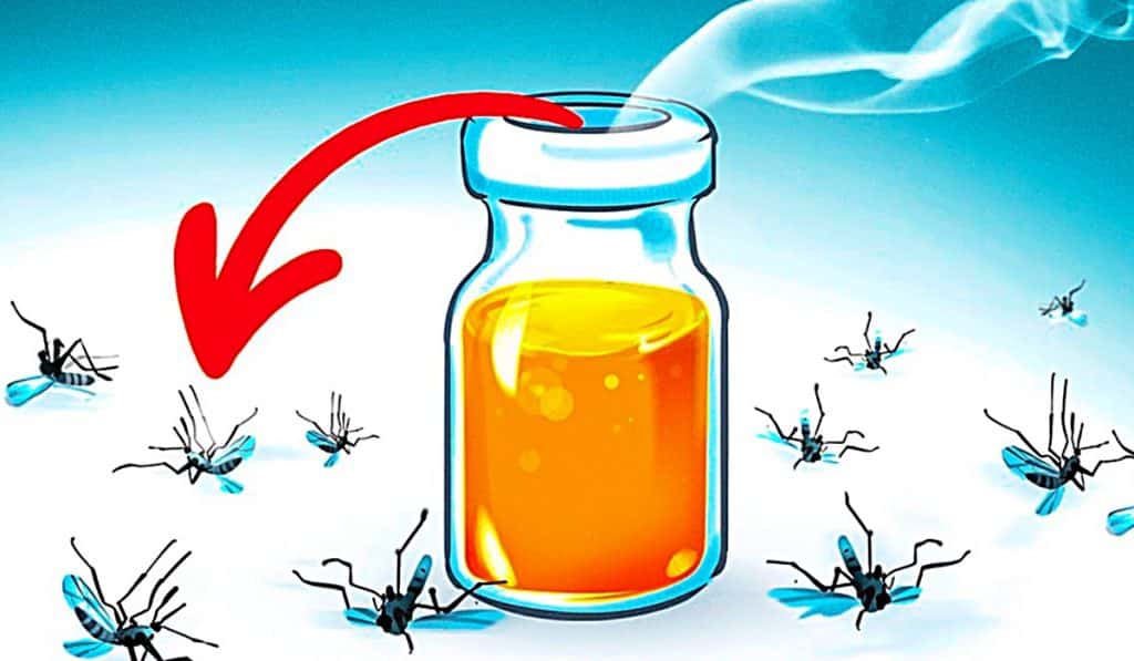 How To Get Rid Of Mosquitos - Natural Mosquito Repellant - Natural Pesticide