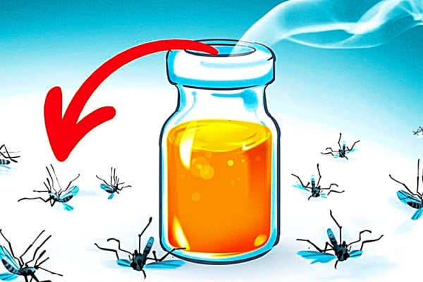 How To Get Rid Of Mosquitos - Natural Mosquito Repellant - Natural Pesticide
