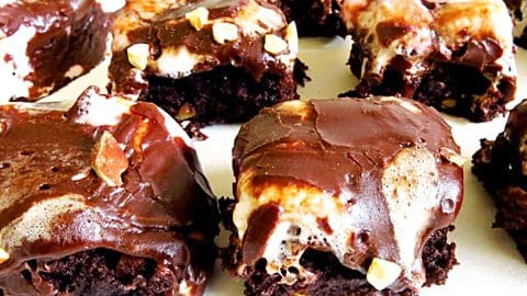 Mississippi Mud Brownies Recipe | DIY Joy Projects and Crafts Ideas
