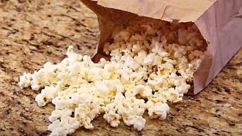 How To Make Homemade Popcorn Bags | DIY Joy Projects and Crafts Ideas