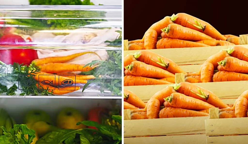 How To Store Food Properly - How To Store Potatoes - How To Store Tomatoes