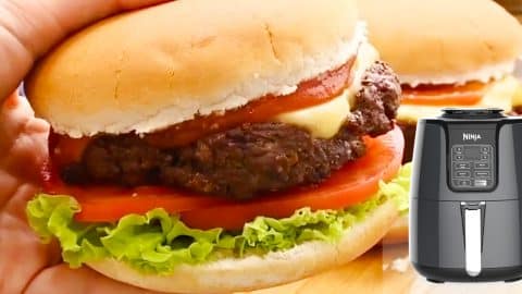 9-Minute Air Fryer Cheeseburger Recipe | DIY Joy Projects and Crafts Ideas