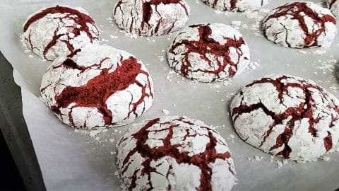 Fudgy Red Velvet Crinkle Cookie Recipe | DIY Joy Projects and Crafts Ideas