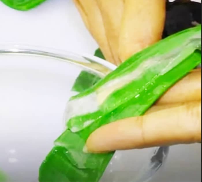 Use Aloe Vera To Moisturize Chapped Lips - Natural Products To Help Chapped Lips