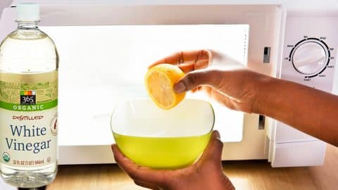 How To Clean A Microwave With Lemon And Vinegar | DIY Joy Projects and Crafts Ideas