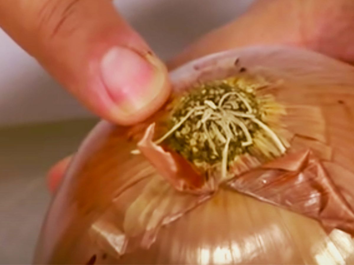 Karima's Crafts: How To Cut Onions Without Crying - Great Ideas