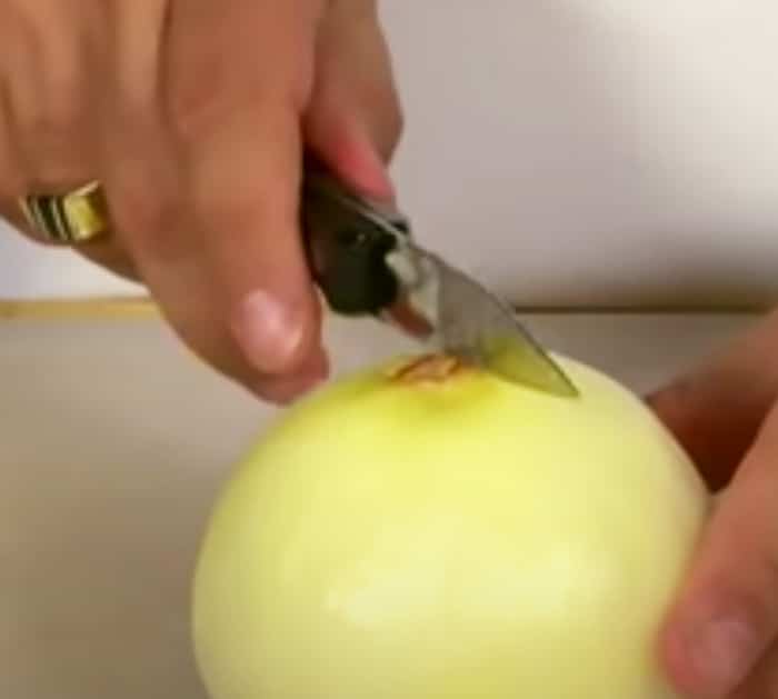 Learn how to cut onion without crying - Tips and Tricks on How To Cut Onions - Correct Ways To cut Onions