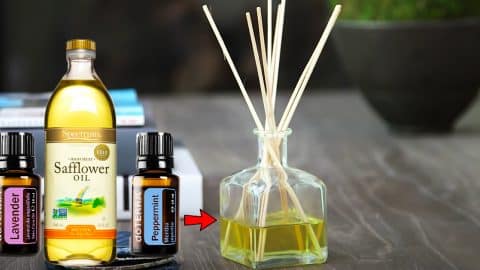 How To Make DIY Home Diffuser | DIY Joy Projects and Crafts Ideas