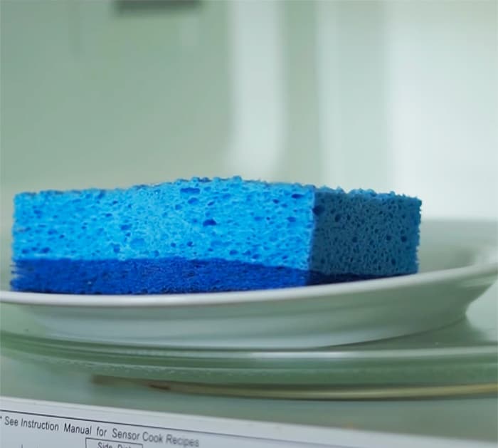 Sanitize your sponge in 2 minutes or less - Microwave Sponge to clean - Kitchen Cleaning Hacks