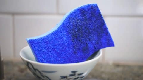 How To Sanitize Kitchen Sponge In 2 Minutes | DIY Joy Projects and Crafts Ideas
