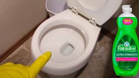 How To Unclog A Toilet Using Water And Dish Soap | DIY Joy Projects and Crafts Ideas