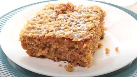Old Fashioned Oatmeal Cake Recipe | DIY Joy Projects and Crafts Ideas