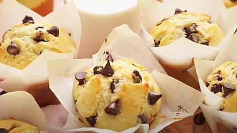 Chocolate Chip Muffins Recipe | DIY Joy Projects and Crafts Ideas