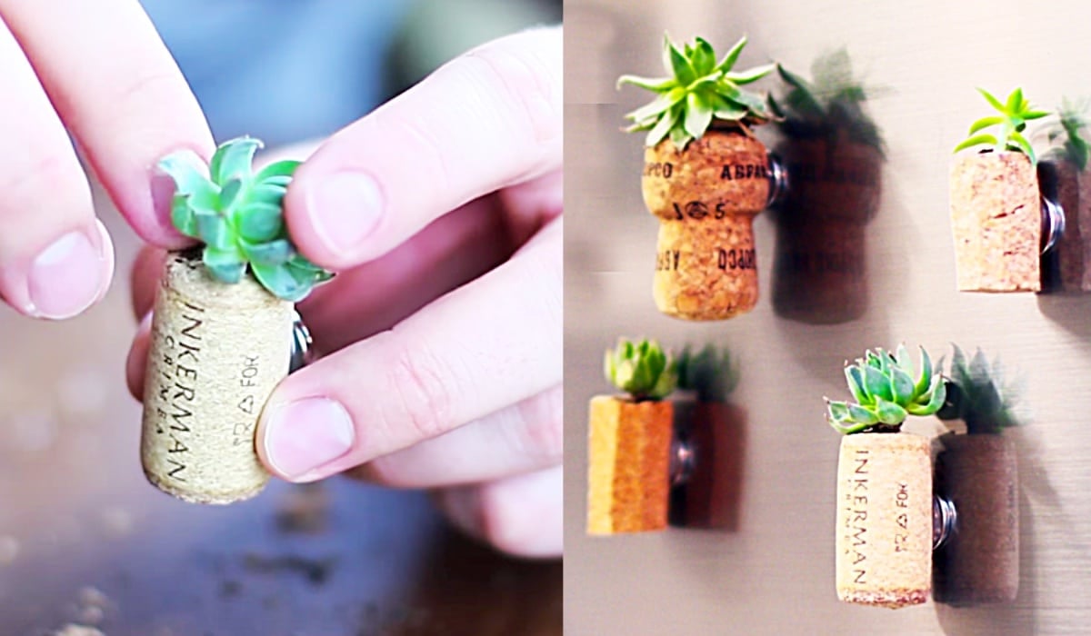 DIY Wine Cork Succulent Fridge Magnets | DIY Joy Projects and Crafts Ideas