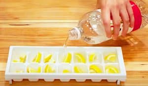 DIY Lemon Ice Garbage Disposal Cleaners