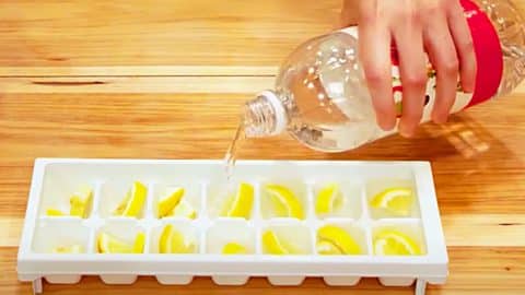 DIY Lemon Ice Garbage Disposal Cleaners | DIY Joy Projects and Crafts Ideas