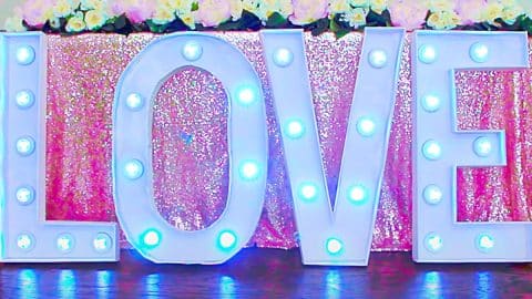 Dollar Tree DIY Marquee Letters | DIY Joy Projects and Crafts Ideas