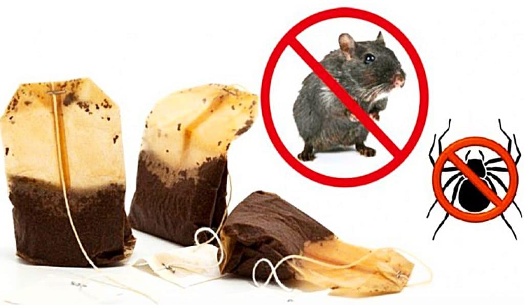 How To Rid The Home Of Mice And Spiders Using A Tea Bag - East Homemade Pest Control - Natural Pesticide Recipe